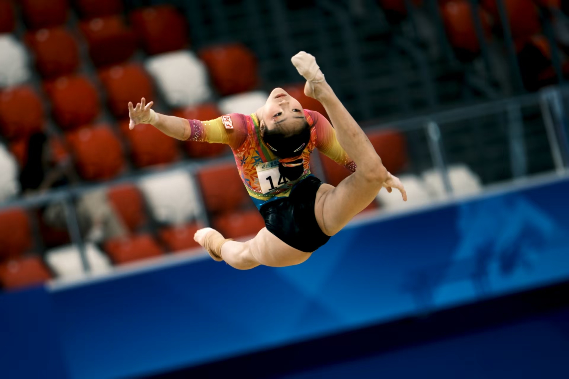 体操赛季收官，冠军榜单揭晓的简单介绍