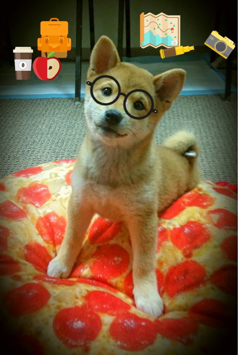 圣殿与疆场，蒙特卡洛的红土圣殿如何完胜国家疆场的戴维斯杯