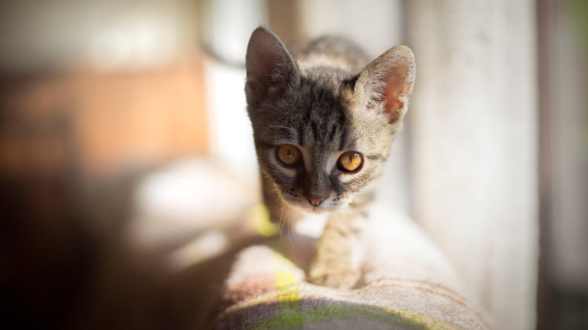 梦幻对决，巴萨逆转塞内加尔全明星，拉什福德虽统治全场却难敌团队奇迹