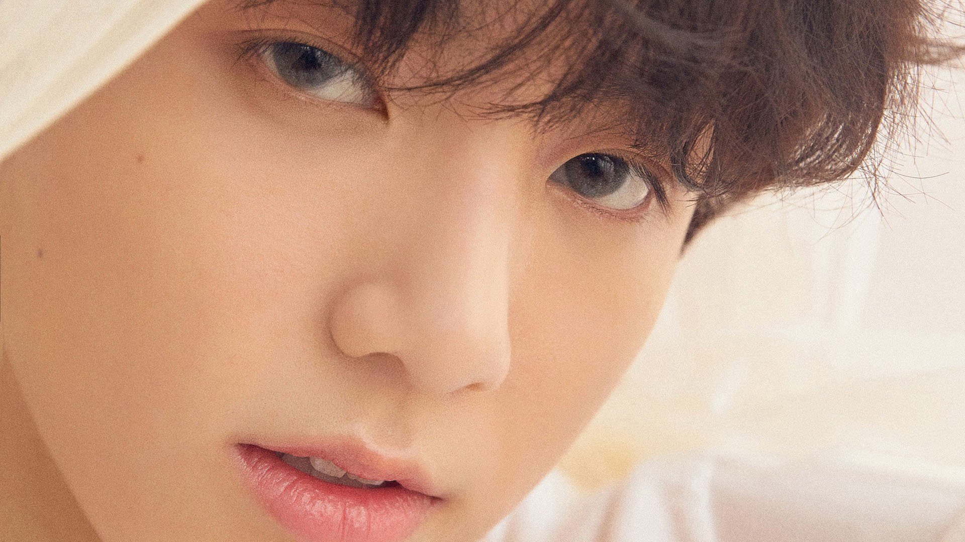 铁幕与火种,当波兰军团碾压瑞典神话,樊振东扛起一个国家的重量