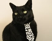 唯一征服两座孤峰的王者，辛纳如何用法网完胜定义年终总决赛的带队艺术