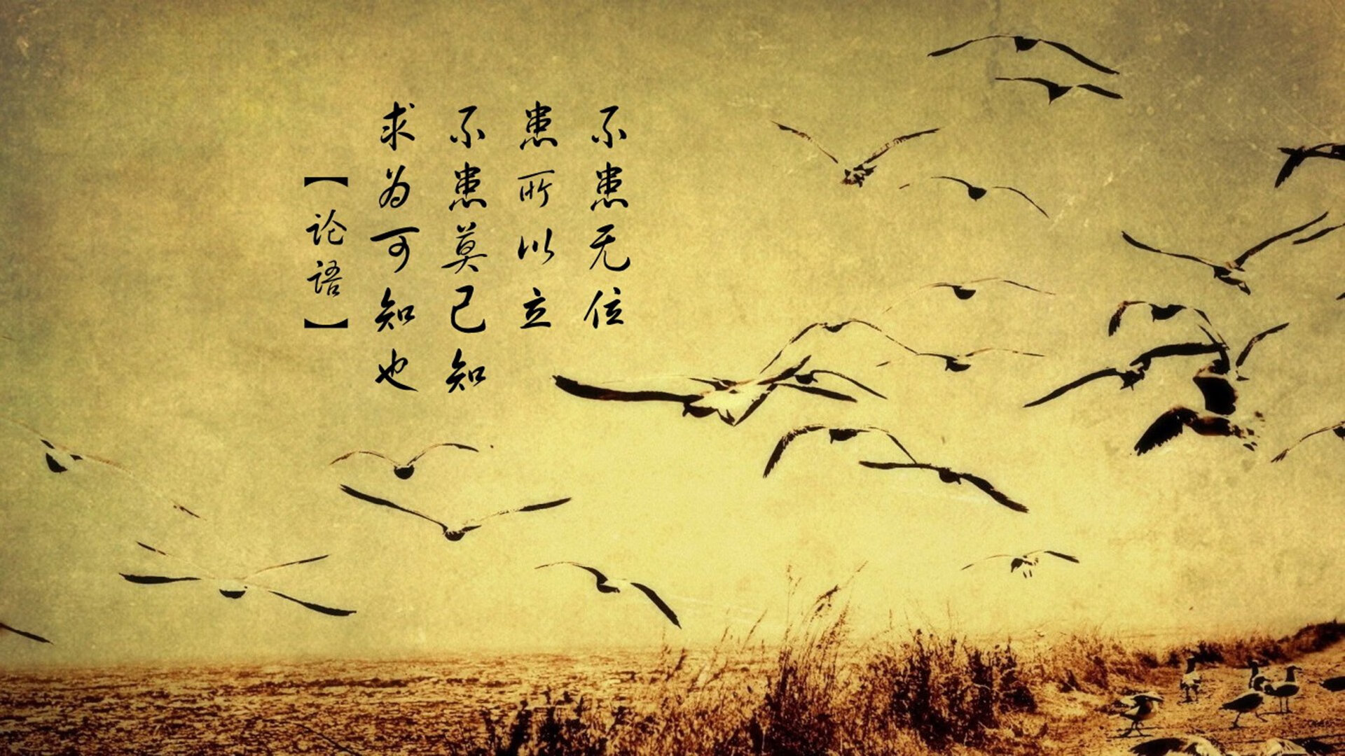 绿茵双面镜,国家德比的刀光,与葡萄牙刺破瑞典的剑影