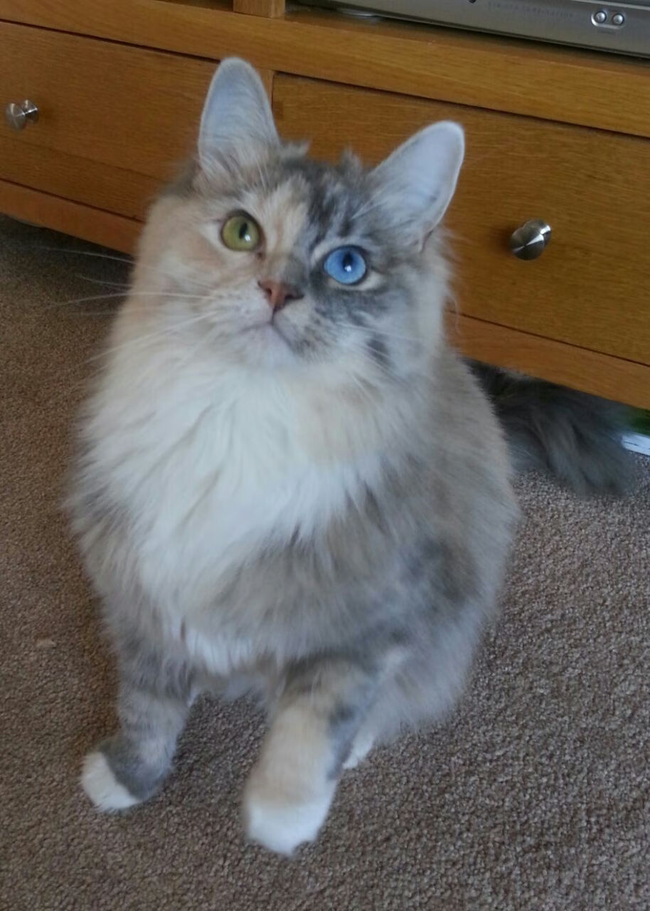 冠军基因的迁徙，当伦纳德在骑士主场按下尼克斯的暂停键