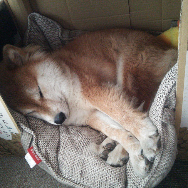 足坛平行宇宙,阿根廷压哨击败尤文,阿坎吉成为关键先生