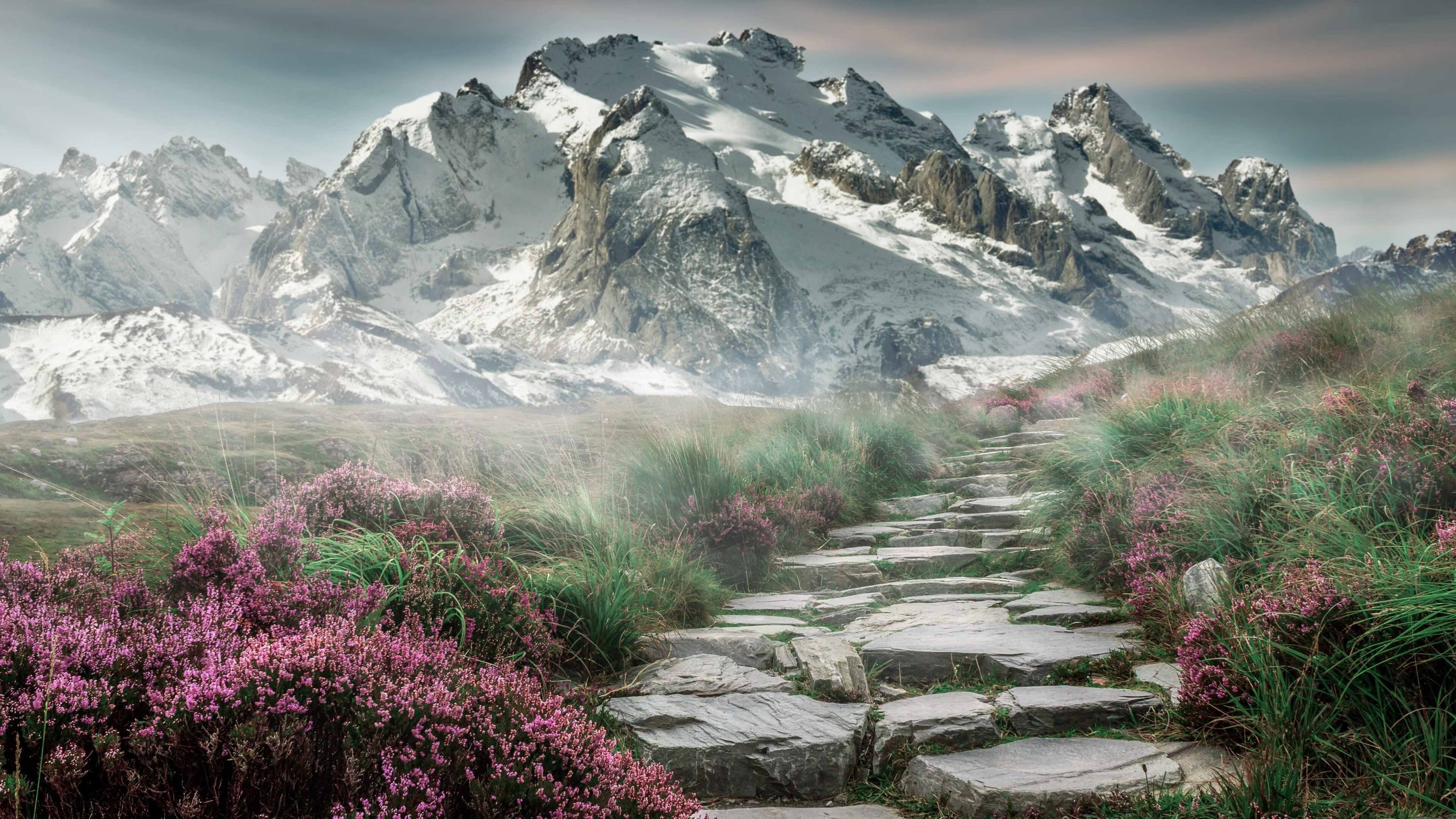 当东方雄狮遇见费城之光,一场跨越现实的篮球对话