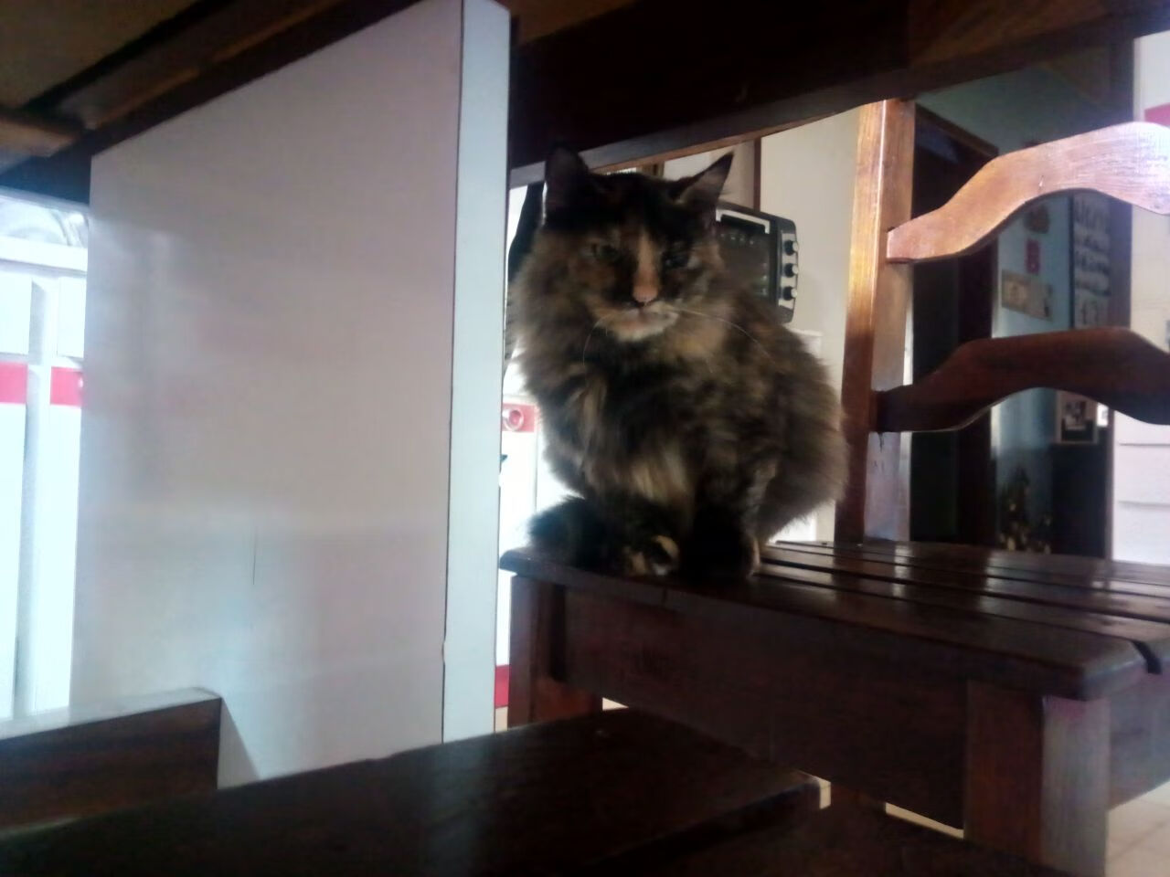 爱游戏官网-时空错位，灰熊东决舞台上一波带走奇才的焦点战