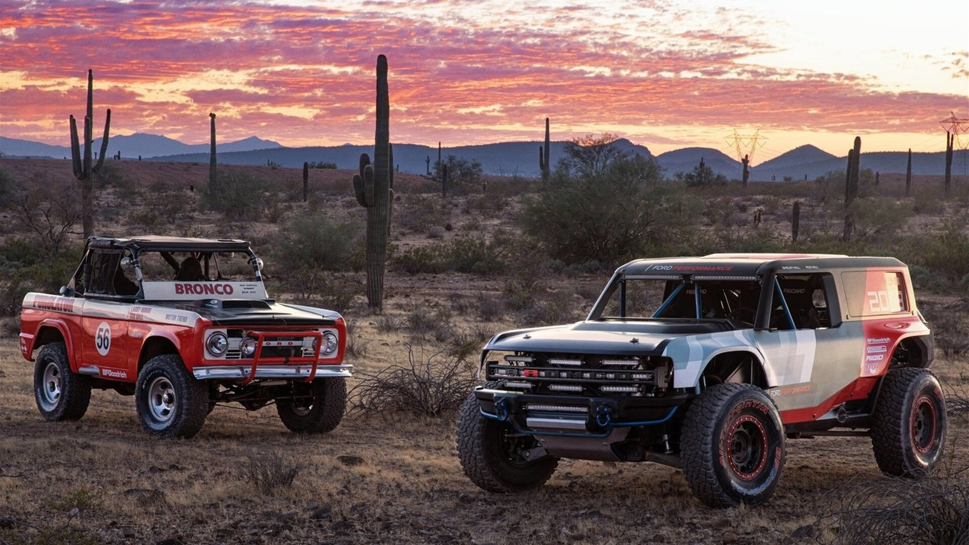 卡塔尔神话，伊布以黄昏战神之姿，终结加纳黄金时代