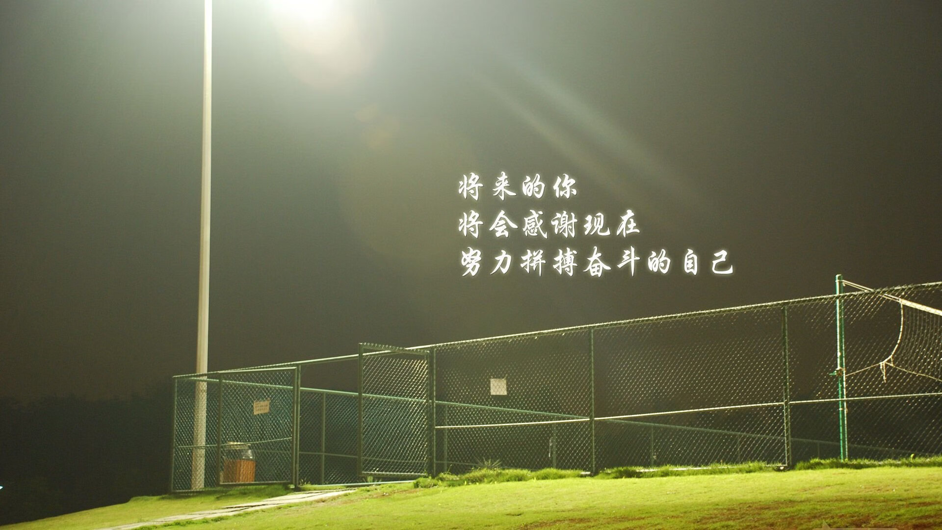 绿茵孤勇者，当范戴克的长传划破墨尔本夜空，韩国替补奇兵书写2026世界杯出线战唯一剧本