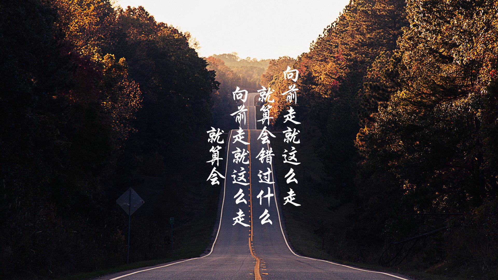 爱游戏娱乐-独行者的舞台，2026世界杯H组，坎塞洛如何以一己之力改写了斯洛伐克对阵美国的剧本