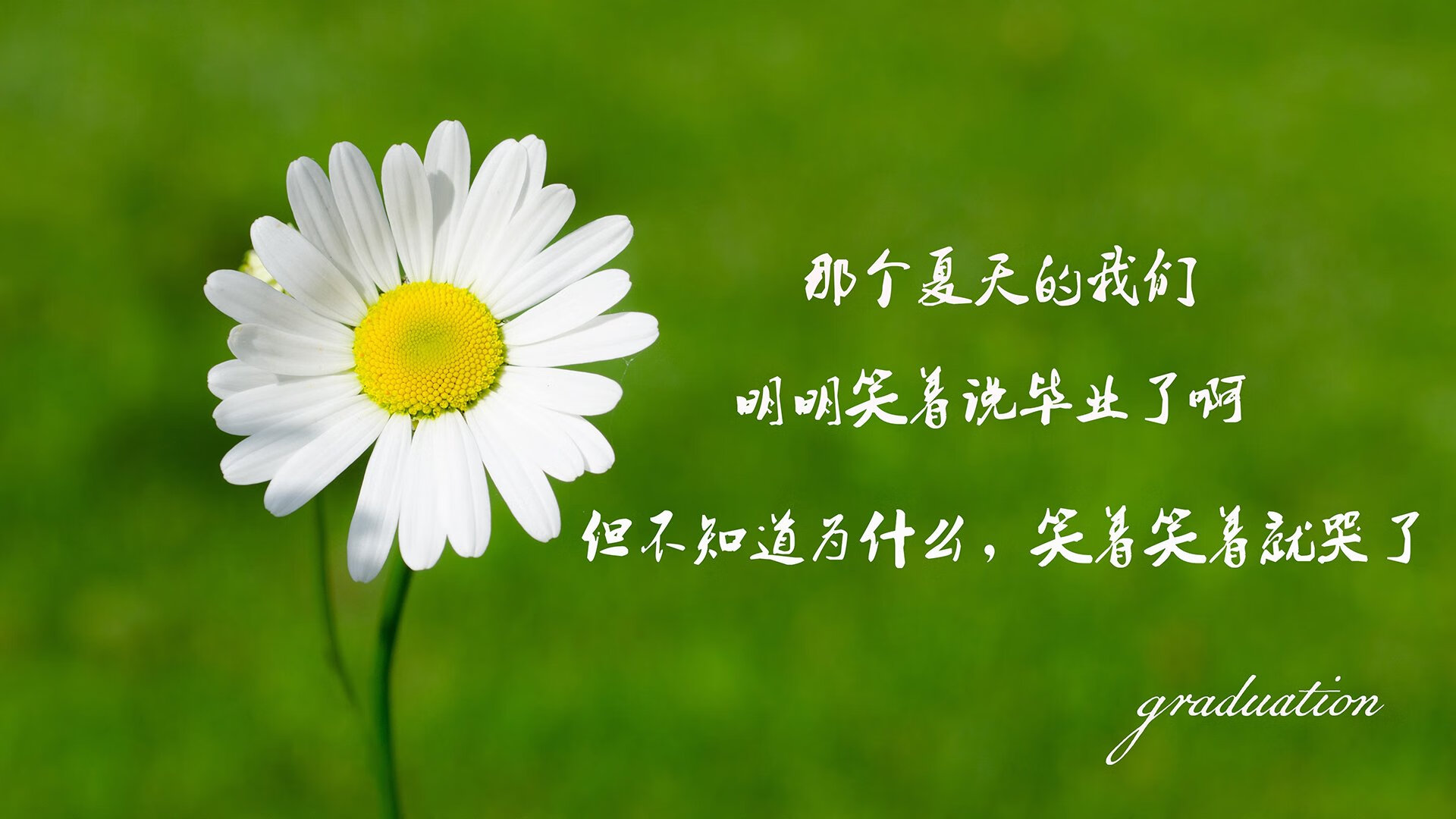 橙色风暴中的孤星，久保建英的逆光独舞，与那场让世界闭嘴的快速反击